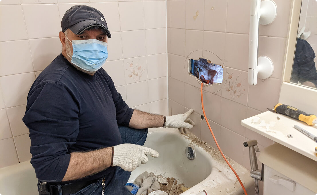 Quis placerat arcunisl